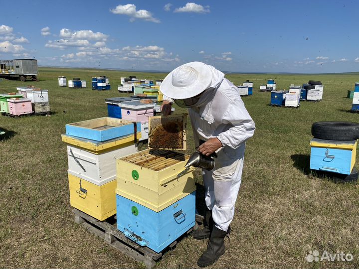 Мёд с собственной пасеки Солондаевых