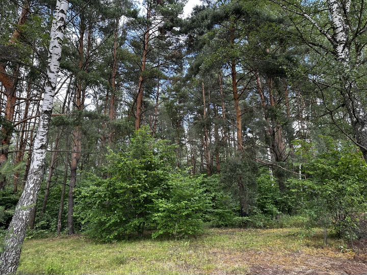 Участок 7 сот. (ИЖС)