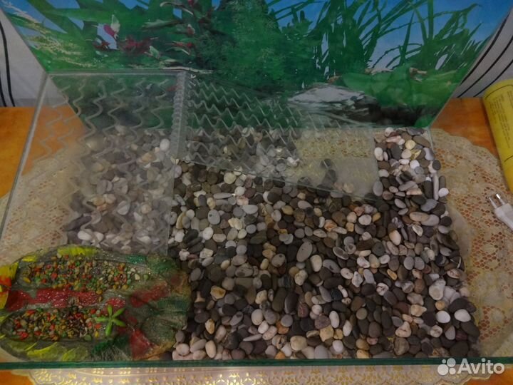 Акватеррариум