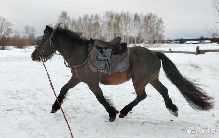 Кросс-тинкер