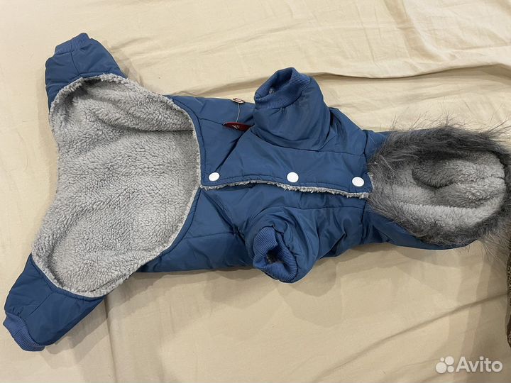 Комбинезон для собаки