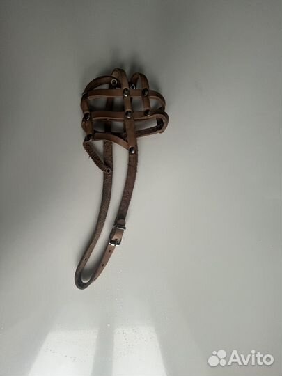 Шлейка и намордник для средней собаки