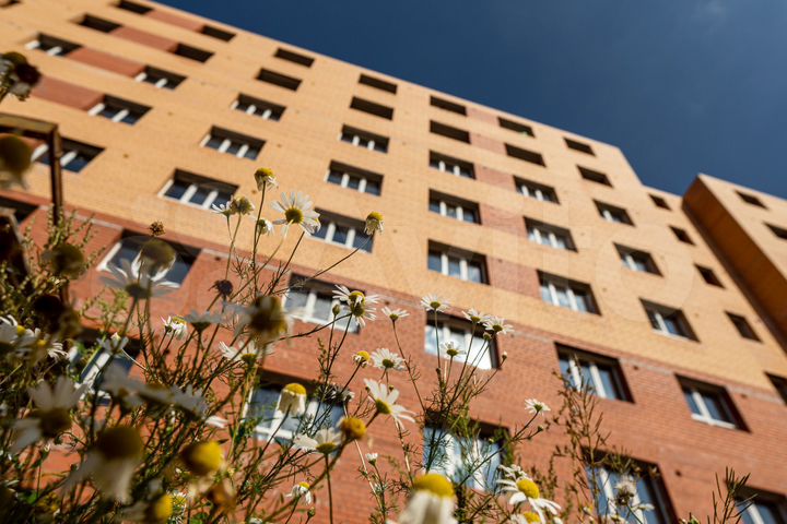 2-к. квартира, 56,3 м², 11/16 эт.