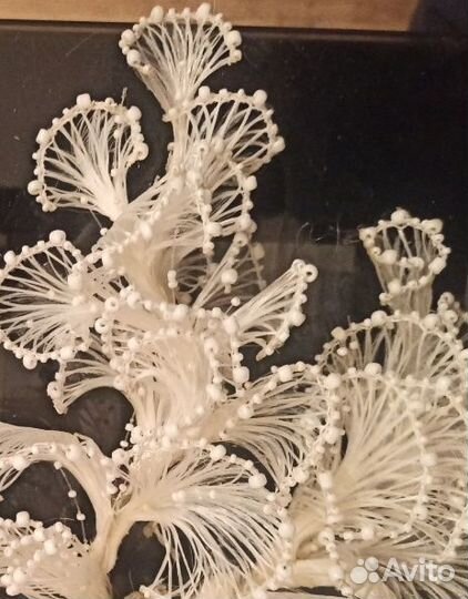 Постиж на заказ для дипломов,курсовых и шоу показо