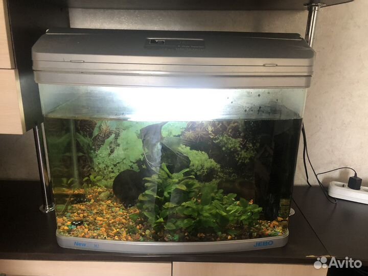 Аквариум с рыбками