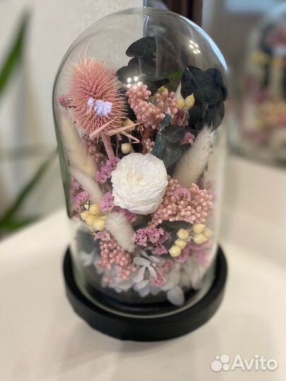 Композиция из сухоцветов клош