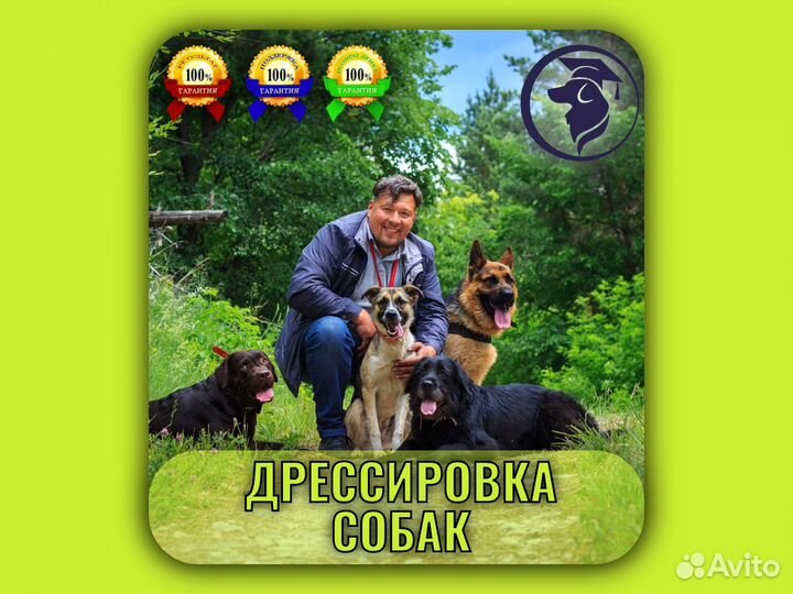 VIP дрессировка. Эксперт кинолог. Гарантия. Уфа