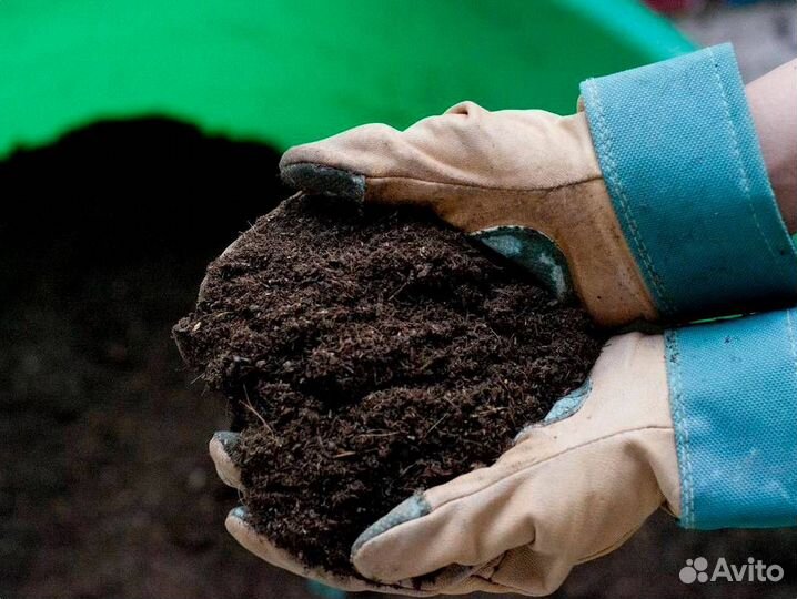 Чернозем / Грунт плодородный