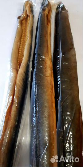 Угорь Балтийский горячего копчения