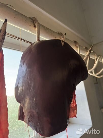 Говяжья печень и сердце