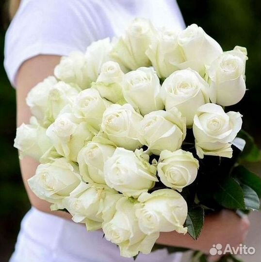 Высокие розы 150 160 170 180 190см доставка Москва