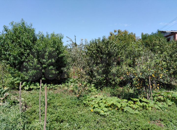 Участок 5 сот. (СНТ, ДНП)