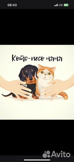 Зооняня для вашего питомца