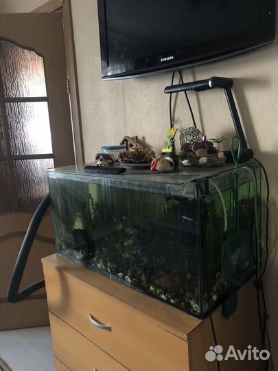 Аквариум
