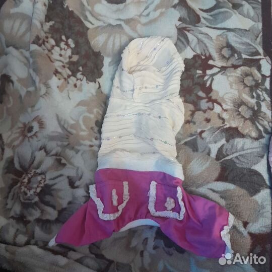 Одежда для собак