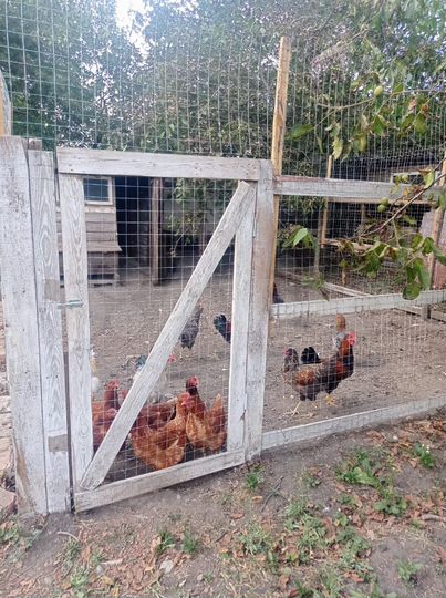 Дом 98 м² на участке 44 сот.