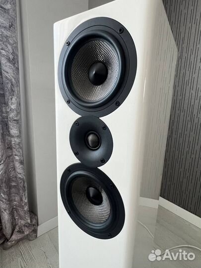 Колонки, акустика Acoustic Energy AE 509