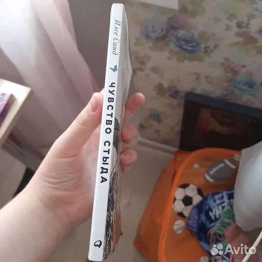 Книга чувство стыда Илсе Санд