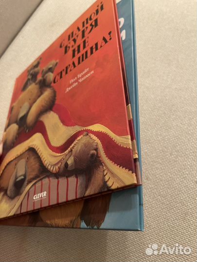 Книги Джейн Чапмен Clever