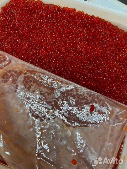 Икра красная нерки, июнь 2023 года