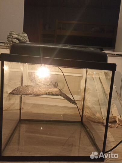 Аквариум, фильтр и нагреватель