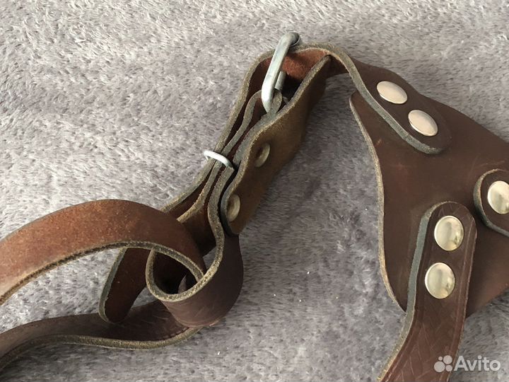 Шлейка для крупных собак