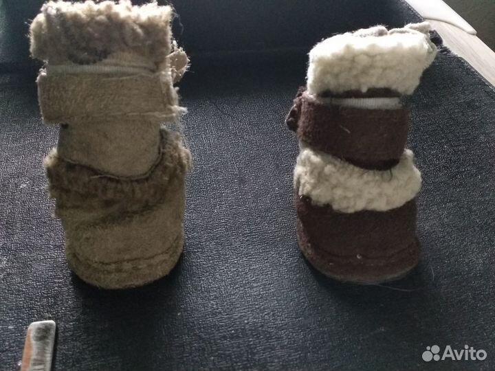 Комбинезон и обувь для собачек