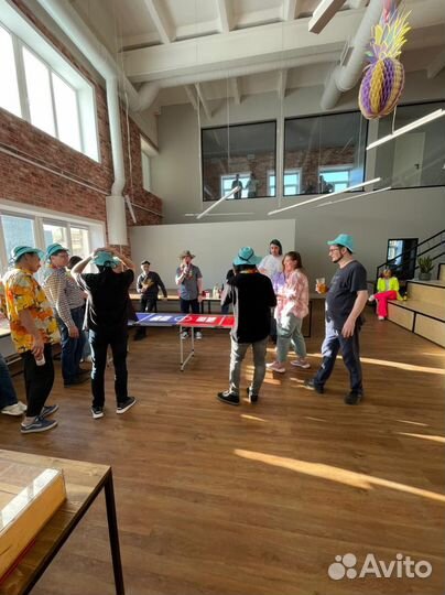 Аренда Бирпонг продажа