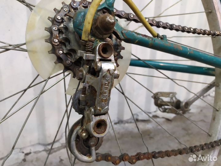 Хвз чемпион