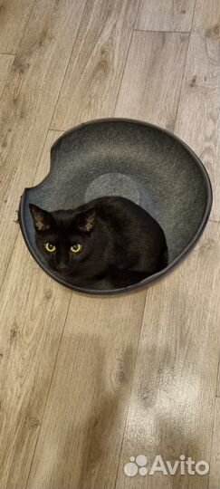 Лежак для кошки