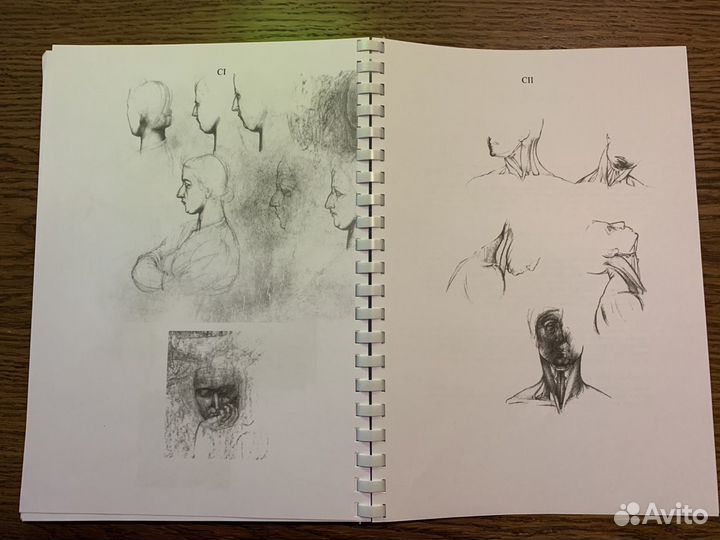 Анатомия для художников. Енё Барчаи