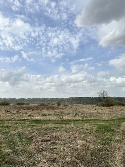 Участок 25 сот. (СНТ, ДНП)