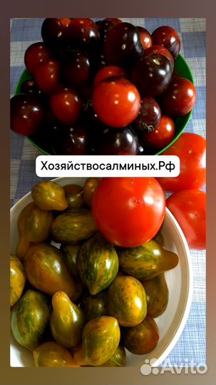 Семена сызранской помидоры Коллекция лучших сортов