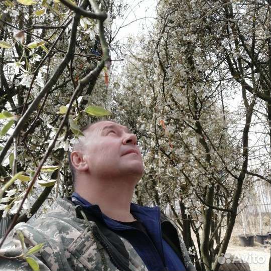 Агроном