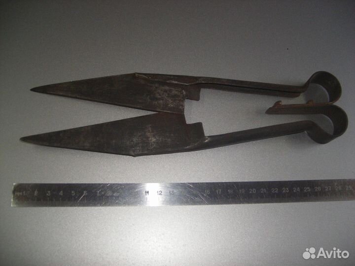 Ножницы овечьи