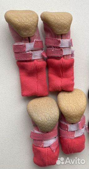 Сапожки/ботинки для собак