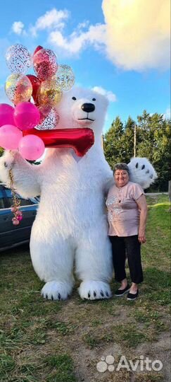 Белый мишка поздравление. Аниматор Медведь