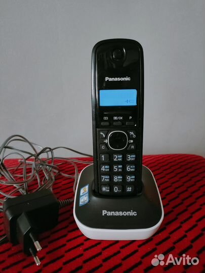 Panasonic