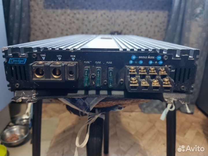 Иволга bg 1004