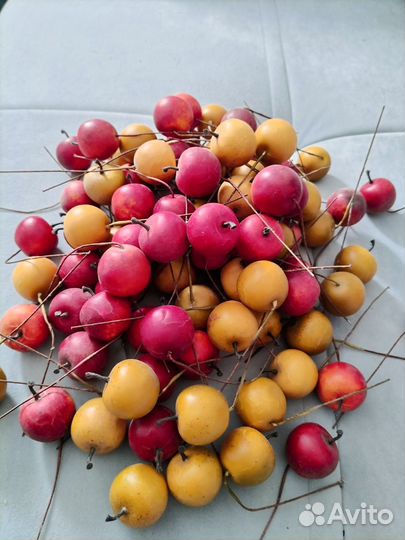 Всё для хобби