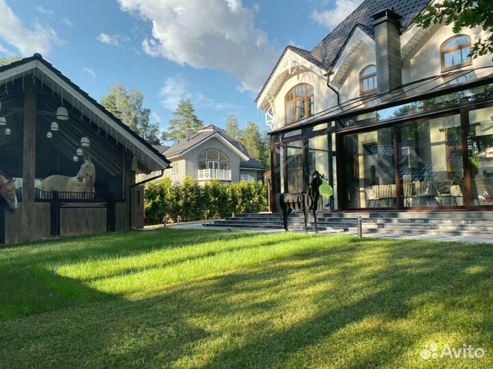 Рулонный газон