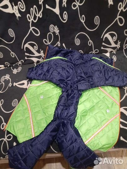 Одежда для животных