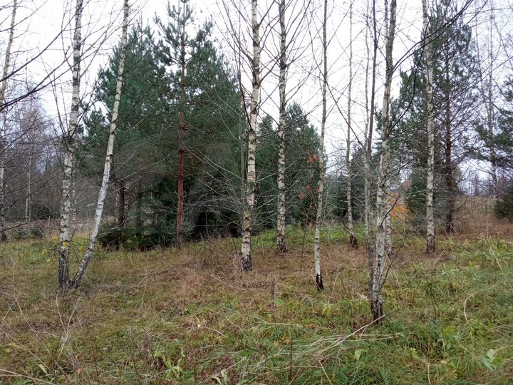 Участок 14,4 сот. (ИЖС)