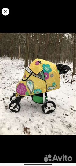 Дождевик японский