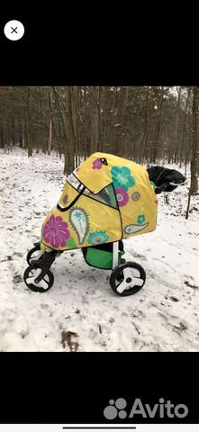 Дождевик японский