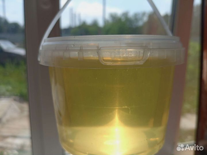 Мед Акация 2024г