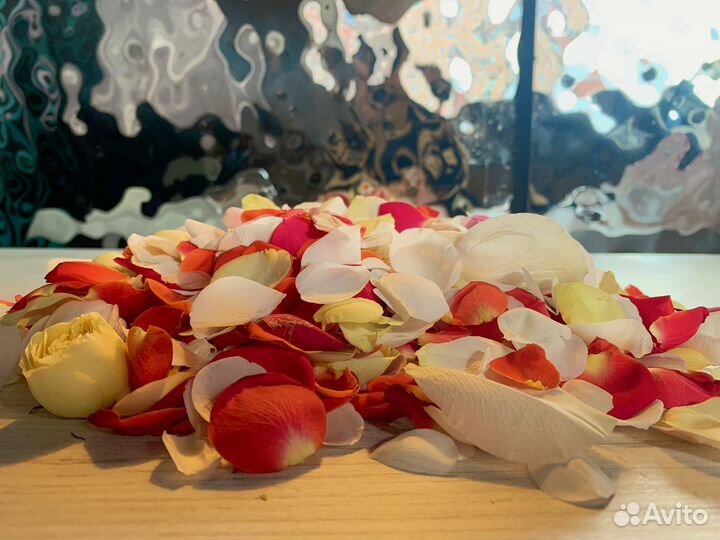 Свежие лепестки роз Эквадор