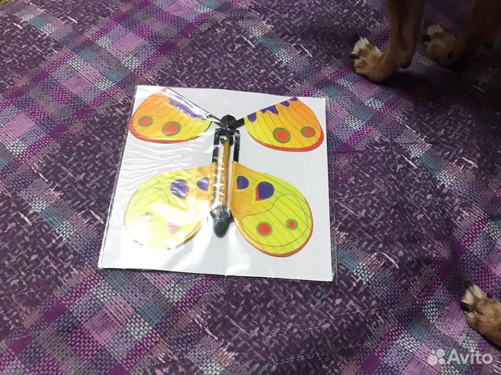 Летающие Бабочки