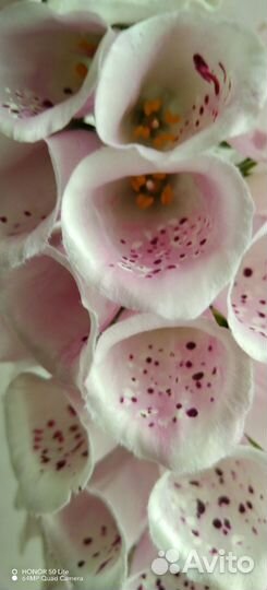 Наперстянка ручной работы из фоамирана