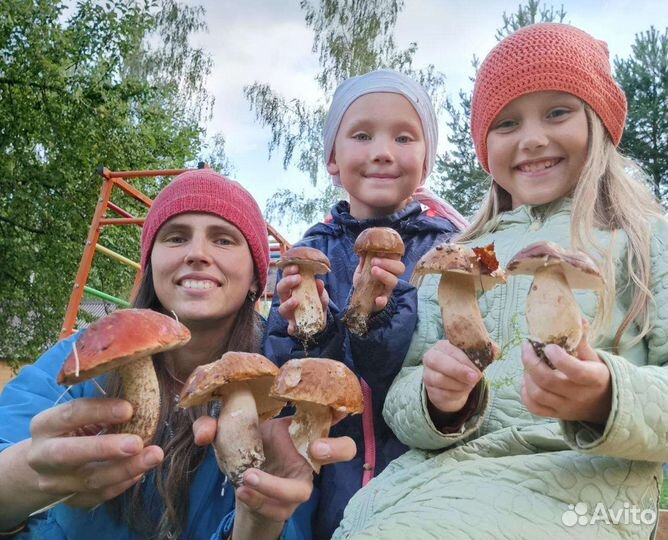 Репетитор